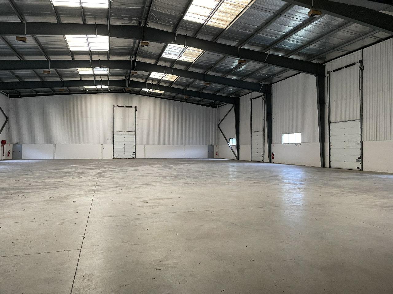 Local d'activité Mauguio 1620m² Vente local d'activité Mauguio Hérault OVACT2531477 5